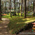 territoriya-sanatorij-lesnoj-zheleznovodsk-image00005.jpg